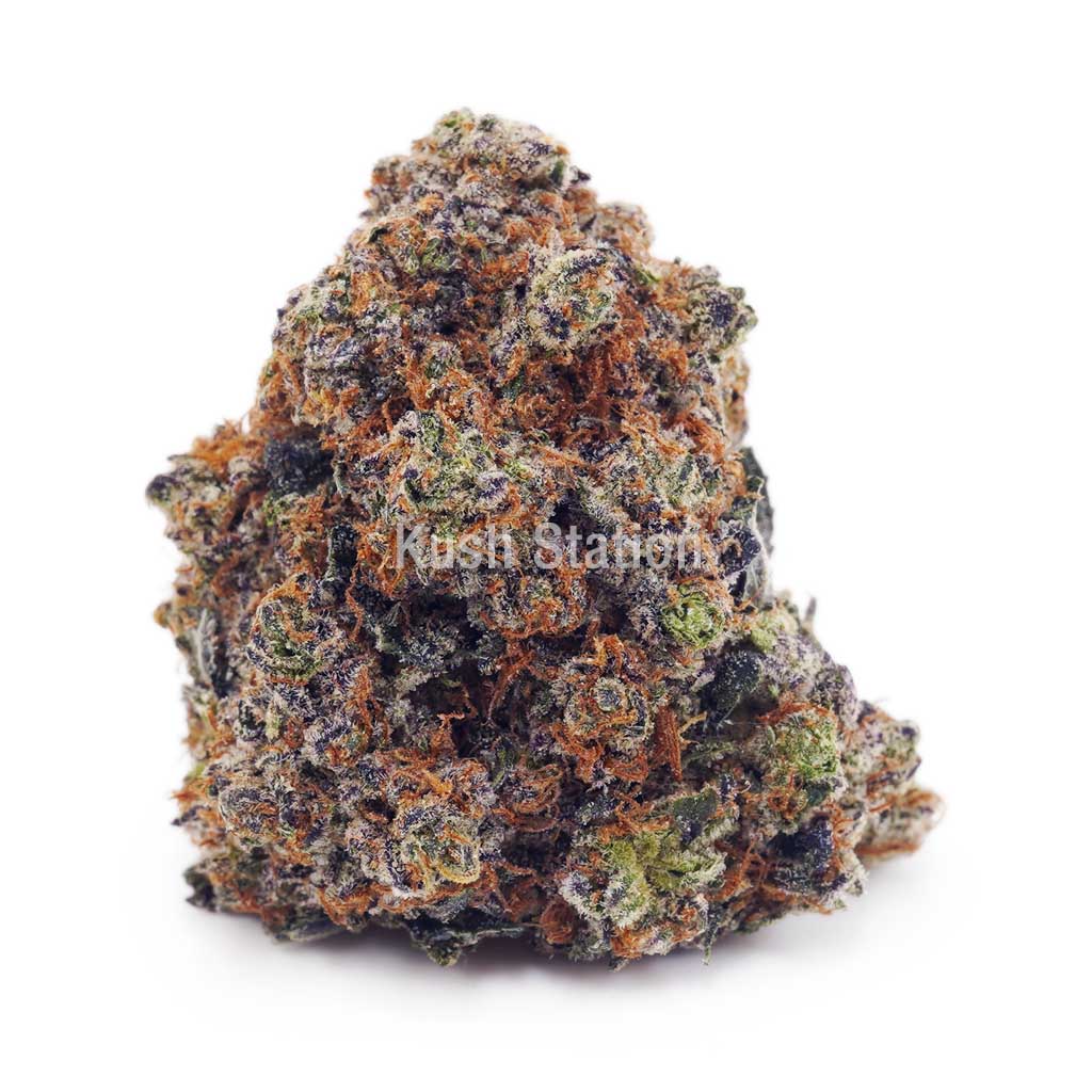 Buy Purple Gelato AA at Kush Station Online Store