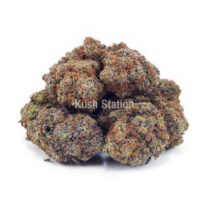 Buy Purple Gelato AA at Kush Station Online Store