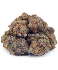 Buy Purple Gelato AA at Kush Station Online Store
