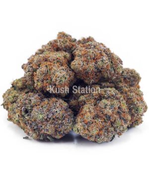 Buy Purple Gelato AA at Kush Station Online Store