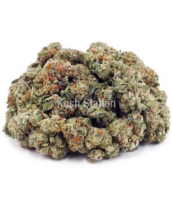 Buy Mendo Cookies AAAA - (Popcorn Buds) at Kush Station Online Store