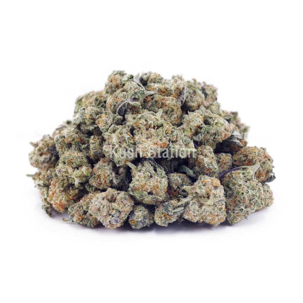Buy Jungle Mintz AAAA - (Popcorn Buds) at Kush Station Online Store