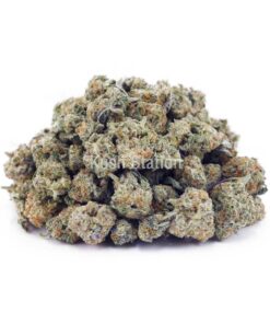 Buy Jungle Mintz AAAA - (Popcorn Buds) at Kush Station Online Store
