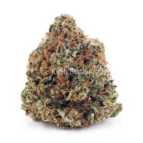 Buy Black Diamond AA at Kush Station Online Store