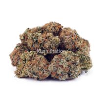 Buy Black Diamond AA at Kush Station Online Store