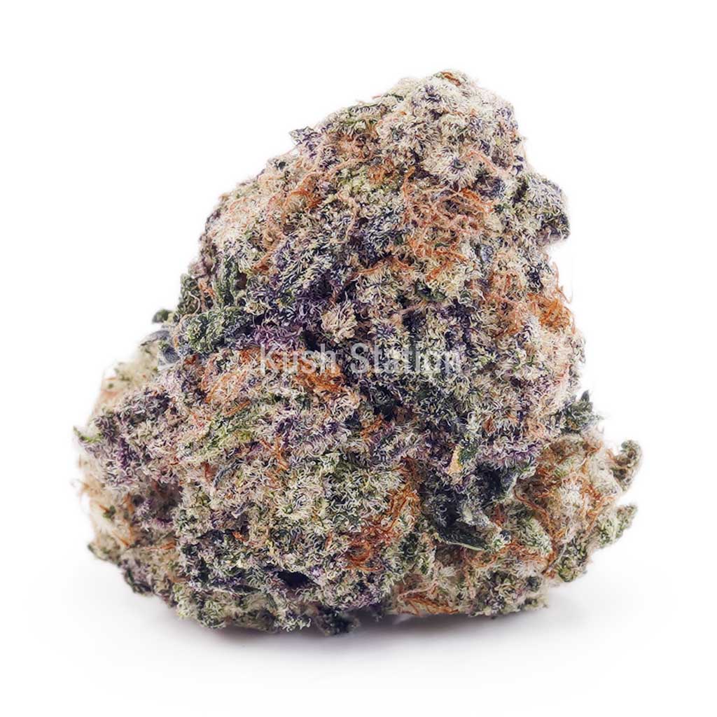 Buy Alien Cookies AAAA at Kush Station Online Store