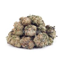 Buy Alien Cookies AAAA at Kush Station Online Store