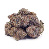 Buy Oreoz AAA at Kush Station Online Store