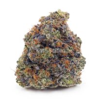 Buy Master Jedi AAA at Kush Station Online Store
