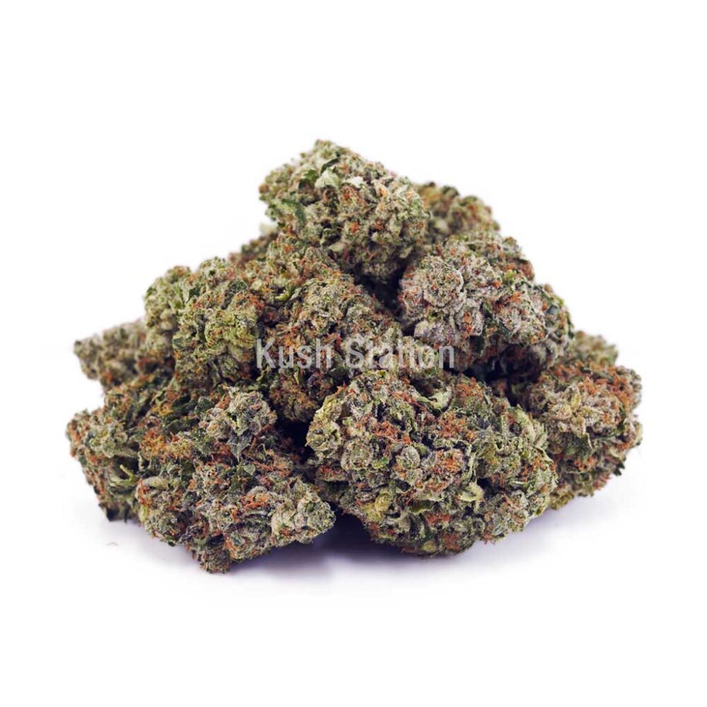 Buy Master Jedi AAA at Kush Station Online Store