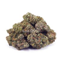 Buy Master Jedi AAA at Kush Station Online Store
