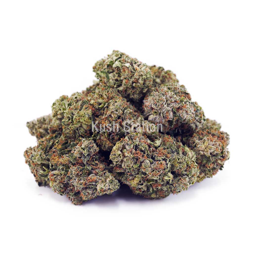 Buy Master Jedi AAA at Kush Station Online Store