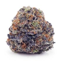 Buy Super Boof AAA at Kush Station Online Store