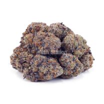 Buy Super Boof AAA at Kush Station Online Store