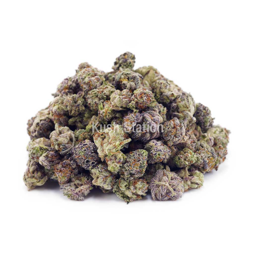 Buy Stargazer AAAA - (Popcorn Buds) at Kush Station Online Store