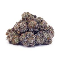 Buy Purple Crush AAA - Northwest Selects at Kush Station Online Store
