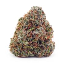 Buy UK Cheese AAA at Kush Station Online Store