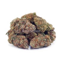 Buy Cannalope AA at Kush Station Online Store