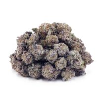 Buy Critical Purps AAAA - (Popcorn Buds) at Kush Station Online Store