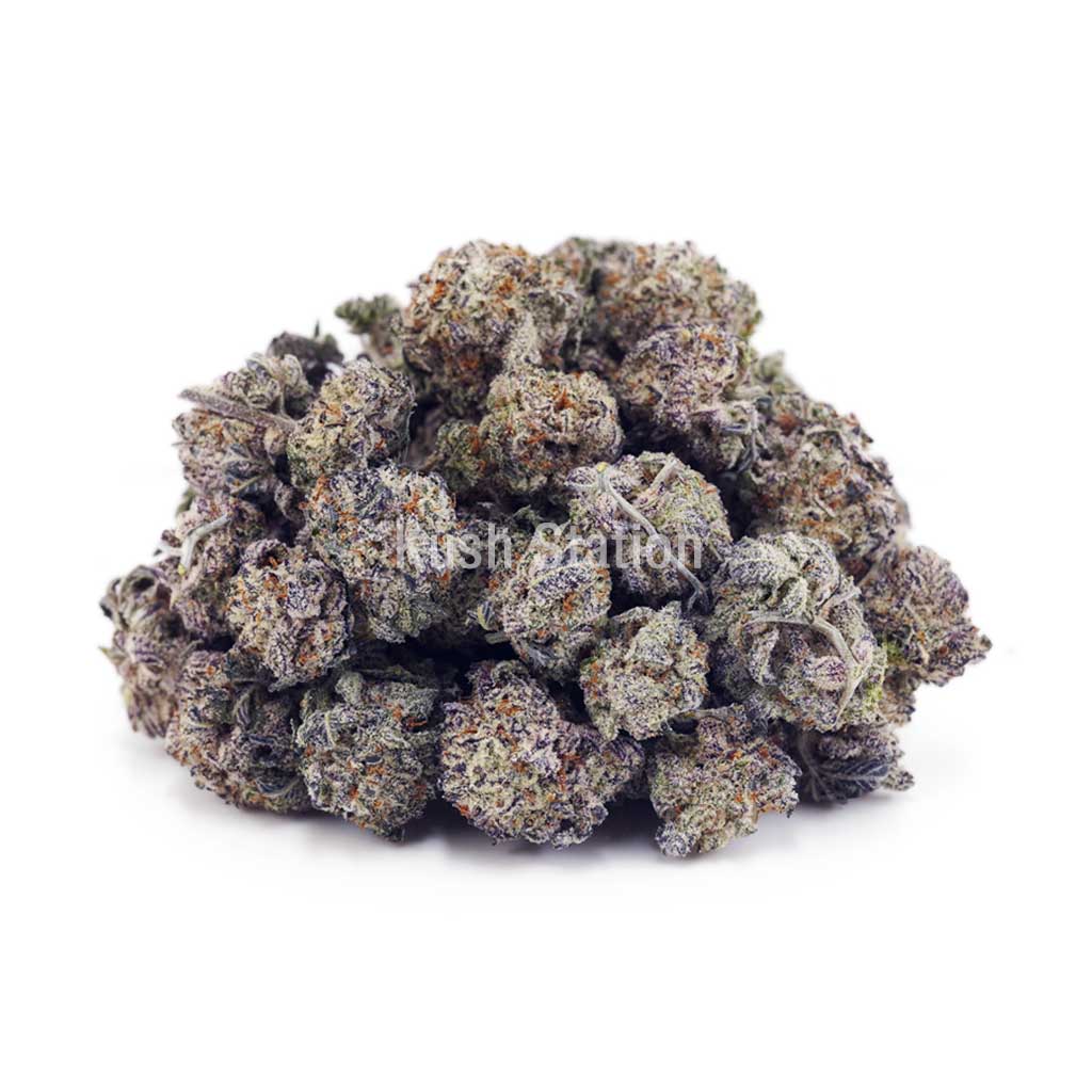Buy Critical Purps AAAA - (Popcorn Buds) at Kush Station Online Store
