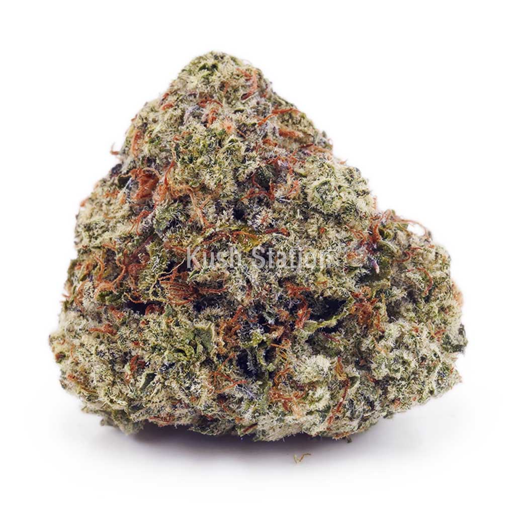 Buy Jack Herer AAA - Terra Farms at Kush Station Online Store