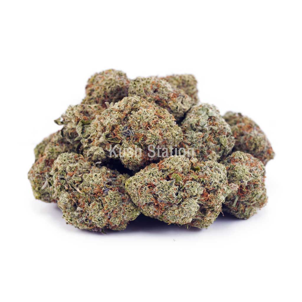 Buy Jack Herer AAA - Terra Farms at Kush Station Online Store