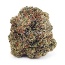 Buy Grapefruit Diesel AAA - 604 Farms at Kush Station Online Store