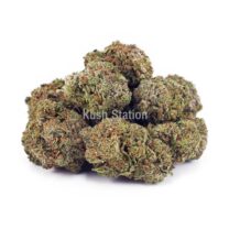 Buy Grapefruit Diesel AAA - 604 Farms at Kush Station Online Store