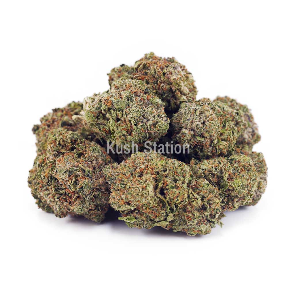 Buy Grapefruit Diesel AAA - 604 Farms at Kush Station Online Store