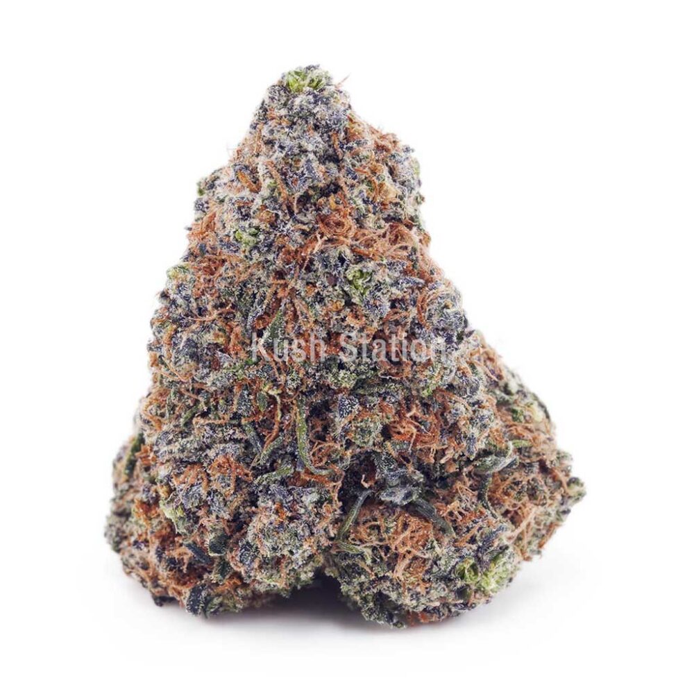 Buy Chocolate Kush AAA - Quadzilla Farms at Kush Station Online Store