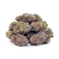 Buy Chocolate Kush AAA - Quadzilla Farms at Kush Station Online Store
