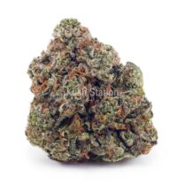 Buy Blueberry Faygo - 604 Farms AAA at Kush Station Online Store