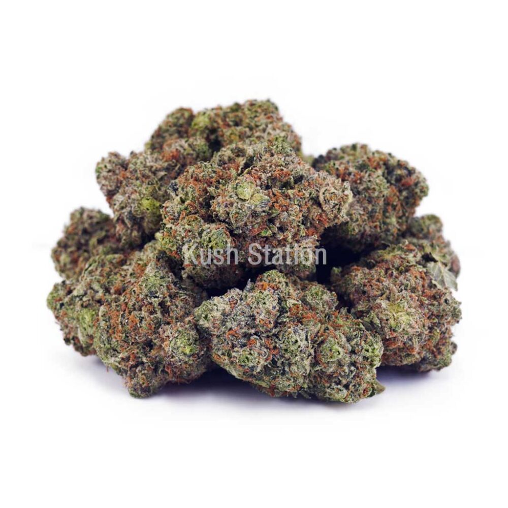 Buy Blueberry Faygo - 604 Farms AAA at Kush Station Online Store