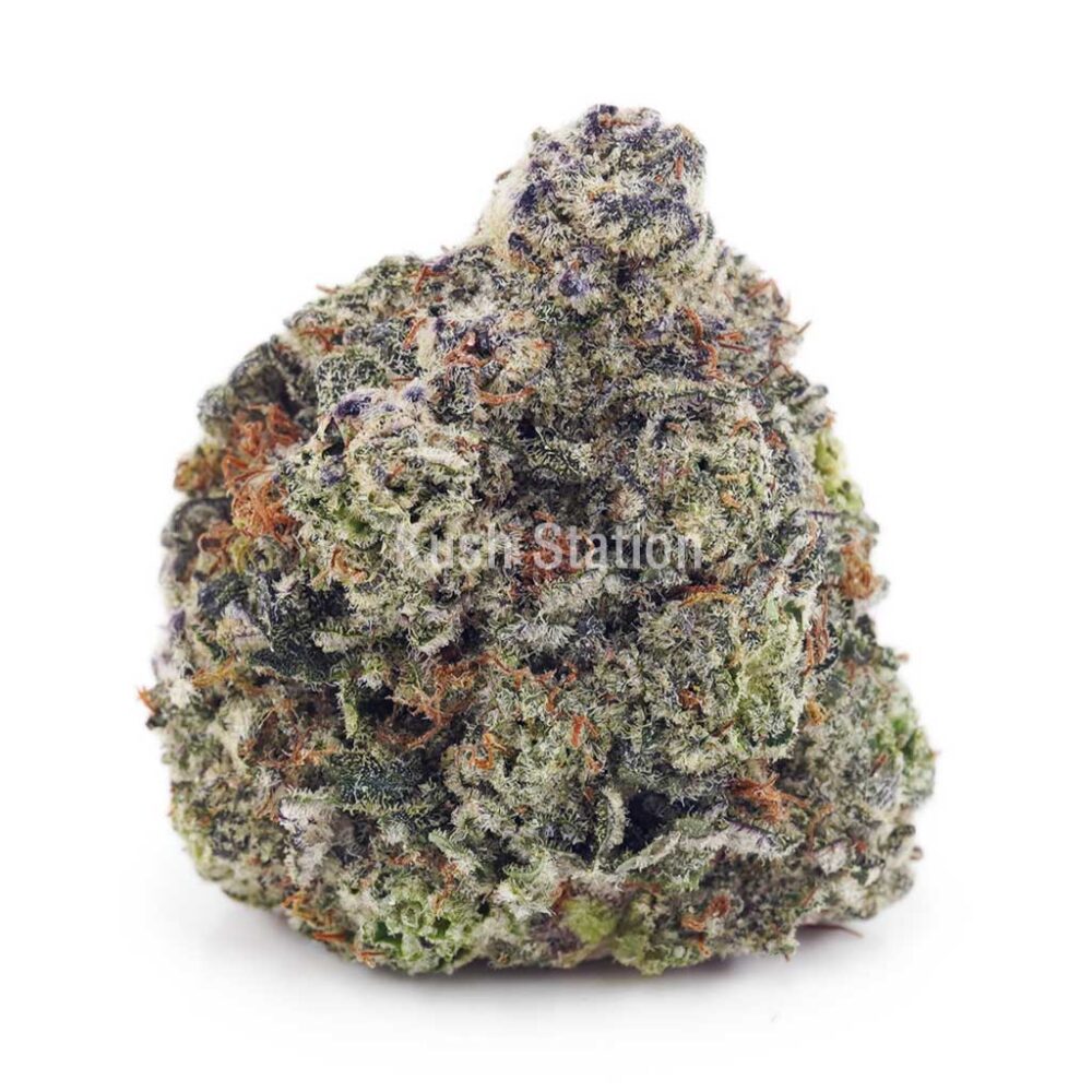 Buy Supreme Gelato (Craft Cannabis) at Kush Station Online Store
