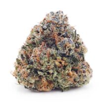 Buy Astro Cake AAA at Kush Station Online