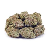 Buy Banana Bomb AAA - Only Gas at Kush Station Online