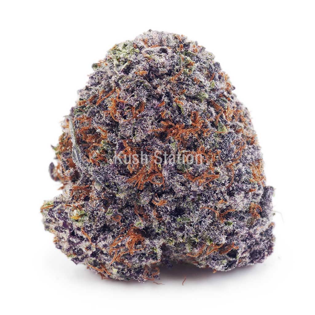 Buy Sweet Skunk AAA - High Grade Farms at Kush Station Online