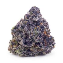 Buy Supreme Black Cherry Punch (Craft Cannabis) - Terra Farms at Kush Station Online Store