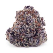 Buy Cherry Pie AAA - Terra Farms at Kush Station Online