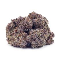 Buy Cherry Pie AAA - Terra Farms at Kush Station Online
