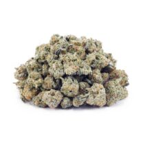 Buy GMO Cookies AAAA - (Popcorn Buds) - True Organics at Kush Station Online Shop