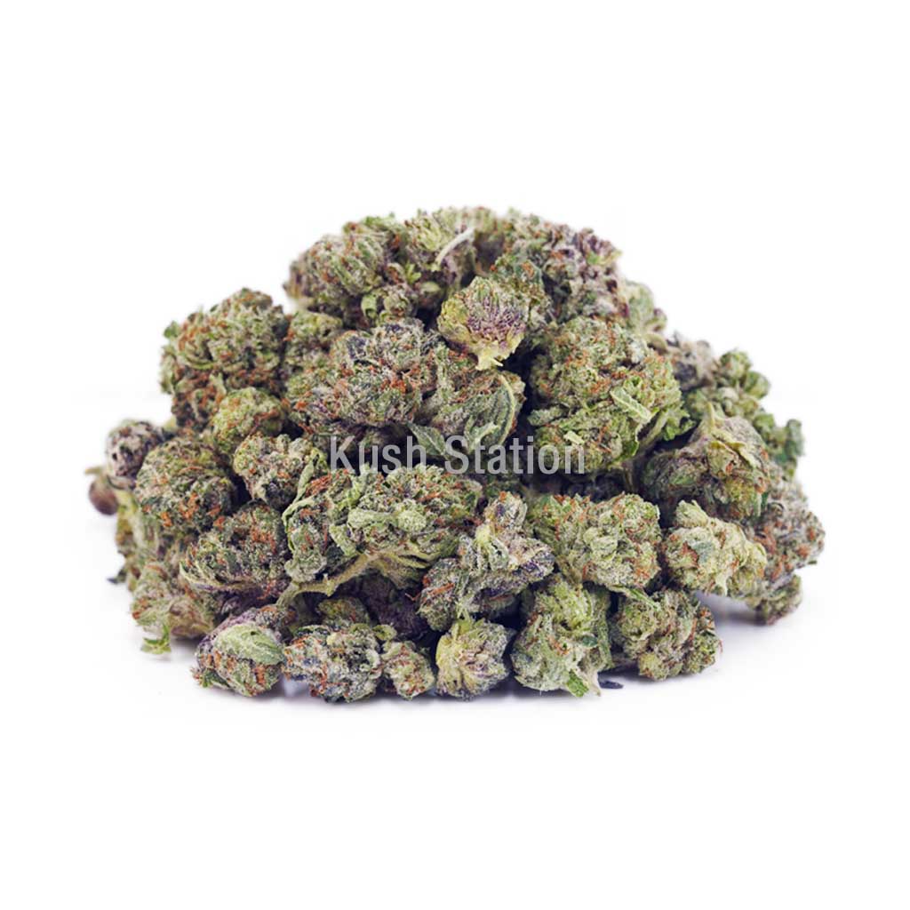 Buy Pina Colada AAAA - (Popcorn Buds) - Northwest Selects at Kush Station Online Shop