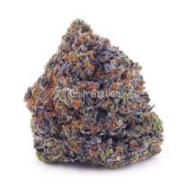 Buy Jean Guy AAA - Quadzilla Farms at Kush Station Online