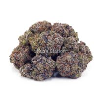 Buy Jean Guy AAA - Quadzilla Farms at Kush Station Online