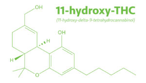 What Is 11-Hydroxy-THC?