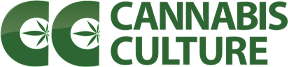 Cannabis Culture